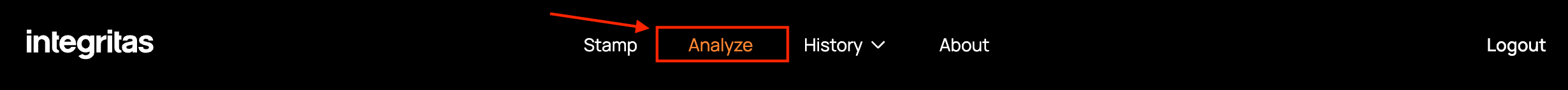 Integritas web app - navigation to analyze page